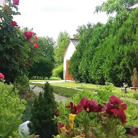 Konukevi Julia Vendeghaz Sarrod