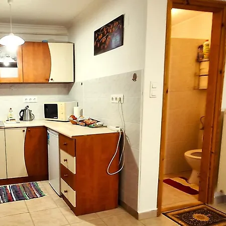 Julia Vendeghaz Guest house Sarrod